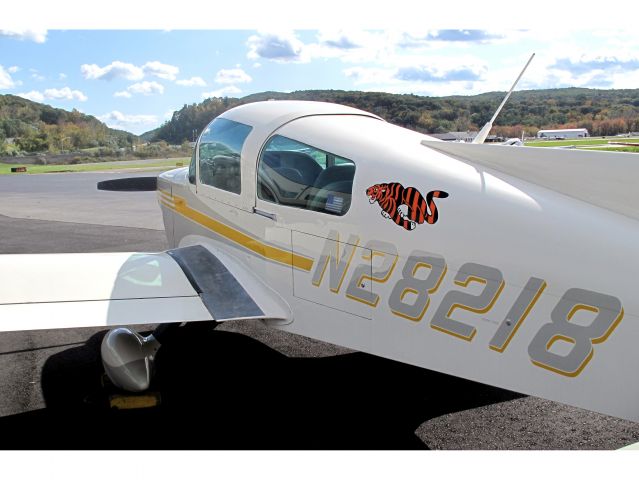 Grumman AA-5 Tiger (N28218) - The best Tiger in the Northeast.