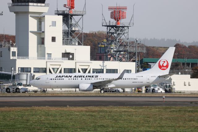 Boeing 737-800 (JA315J) - November 11, 2023:HKD-HND.