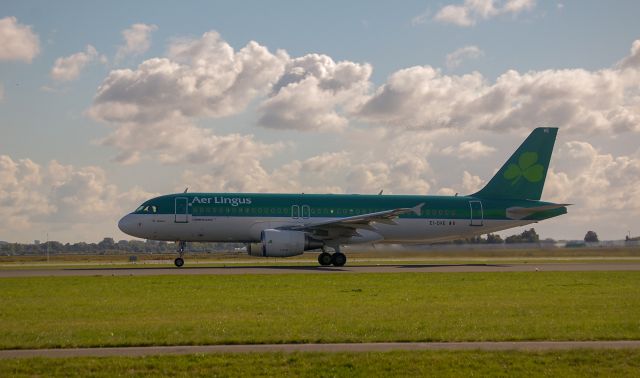 Airbus A320 (EI-DVE) - Take Off rwy36L cn3129 25-09-22