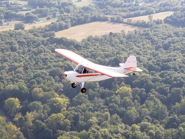N83835 — - 1946 Aeronca Champ