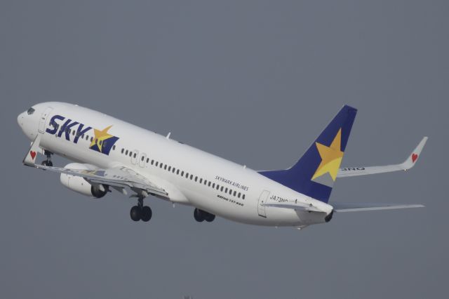 Boeing 737-800 (JA73NQ) - Mar 13,2025br /SKY717 HND→CTS