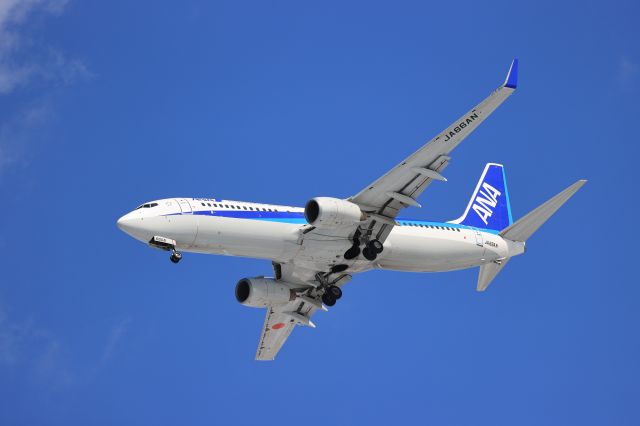 Boeing 737-800 (JA66AN) - February 11th 2021:ITM-HKD.
