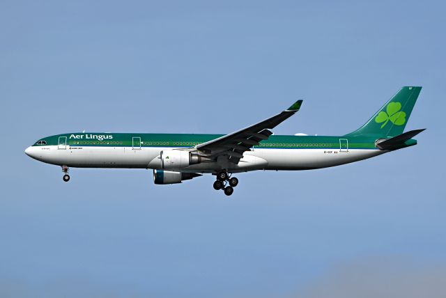 Airbus A330-300 (EI-GCF)