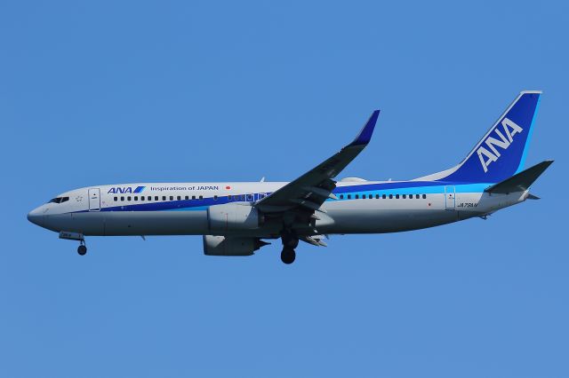 Boeing 737-800 (JA79AN)