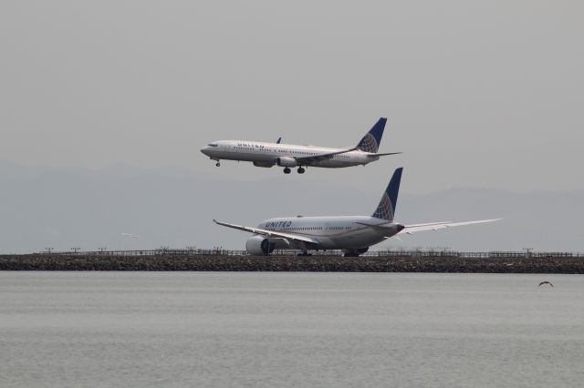 Boeing 787-8 (N26910) - View in full for highest quality.br /United B788 and 737 at KSFO.