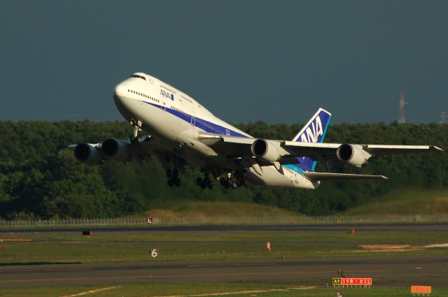 Boeing 747-400 (JA8965) - JA8965  Boeing 747-481(D) c/n: 27436/1060     2013_05_17