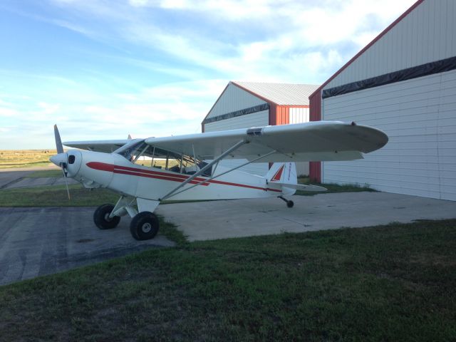 Piper L-21 Super Cub (N9839Q)