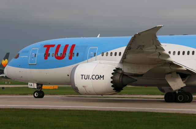 Boeing 787-8 (G-TUIA)