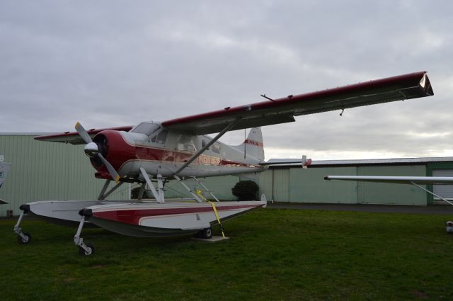 De Havilland Canada DHC-2 Mk1 Beaver (N221RT) - Such an unusual sight in a tiny privately-owned, public-use airpark!