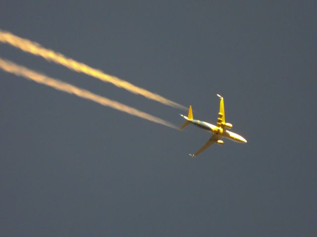 Boeing 737-800 (N565AS)