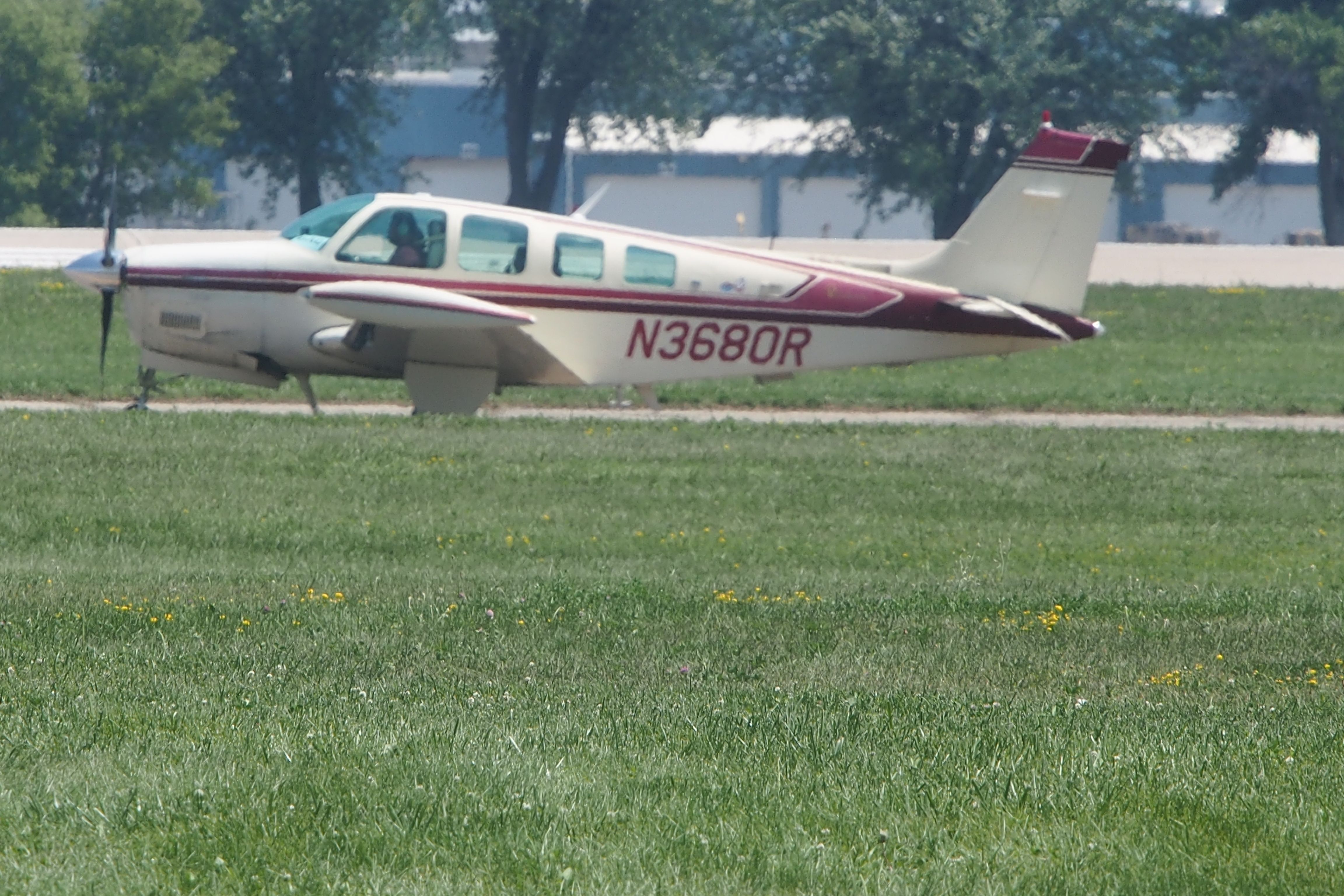 Beechcraft Bonanza (36) (N3680R)