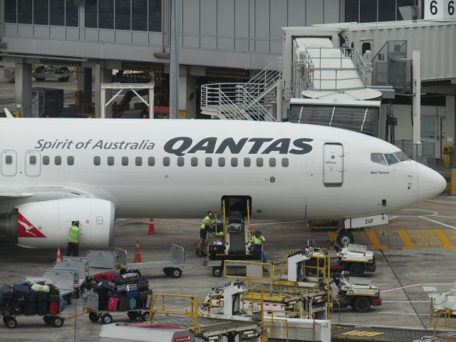 Boeing 737-800 (ZK-ZQF) - Abel Tasman