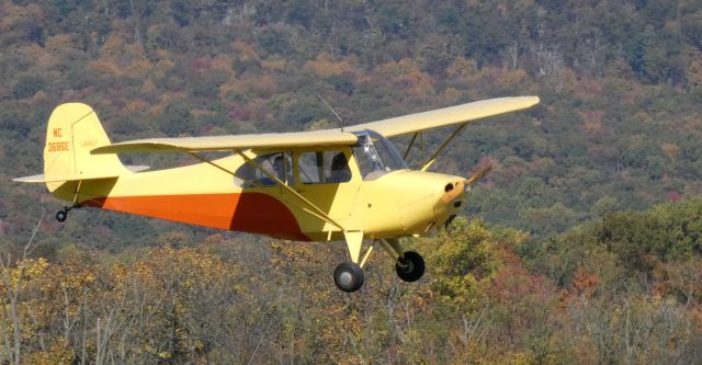 CHAMPION Sky-Trac (N3686E) - On short final is this 1947 Aeronca Champion Sky-Trac 7AC in the Autumn of 2022.