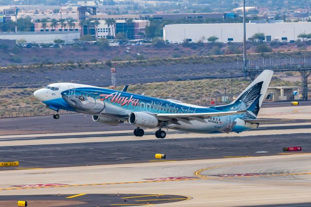 Boeing 737-800 (N559AS) - Alaska Airlines 737-800 in Salmon Thirty Salmon II special livery taking off from PHX on 12/7/22. Taken with a Canon R7 and Tamron 70-200 G2 lens.