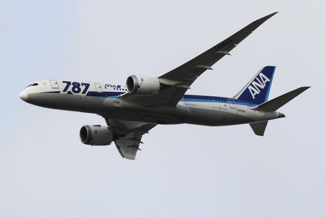 Boeing 787-8 (JA813A)
