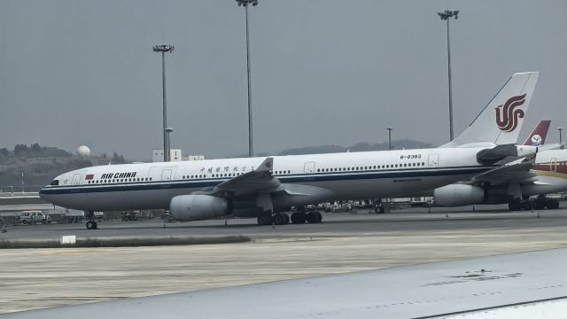 Airbus A330-300 (B-8383) - 2025.04.07 CCA A330-343 IN ZUTF