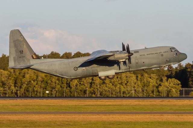 Lockheed C-130 Hercules (A97464)