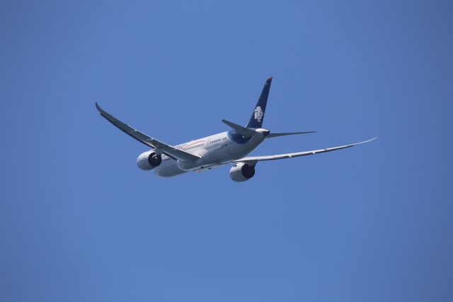 Boeing 787-8 (N965AM)