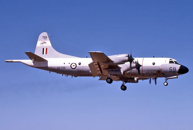 Lockheed P-3 Orion (A9759) - AUSTRALIA - AIR FORCE - LOCKHEED P-3C ORION - REG A9-759 (CN 285D-5674) - EDINBURGH RAAF BASE ADELAIDE SA. AUSTRALIA - YPED (31/10/1983)