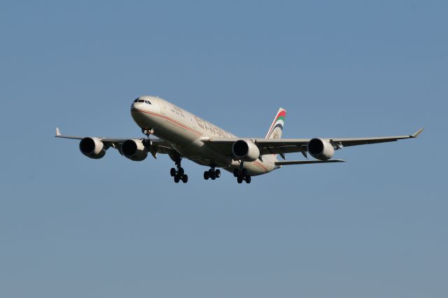 Airbus A340-500 (A6-EHA) - 2014/10/18