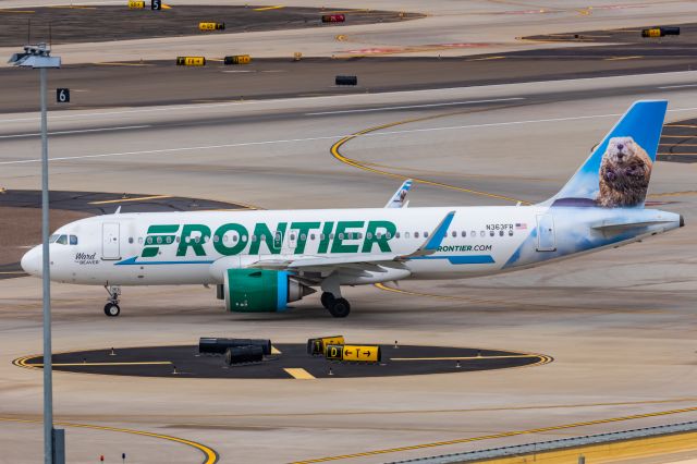 Airbus A320neo (N363FR) - A Frontier Airlines A320neo "Ward the Beaver" taxiing at PHX on 2/14/23. Taken with a Canon R7 and Canon EF 100-400 II L lens.