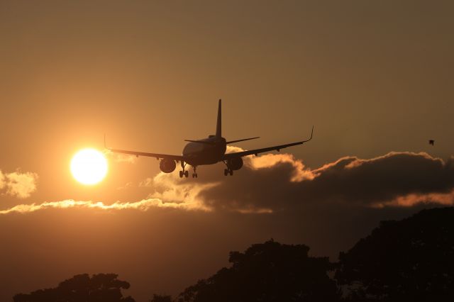 Airbus A320 (JA213A) - July 17th 2021:HND-HKD.