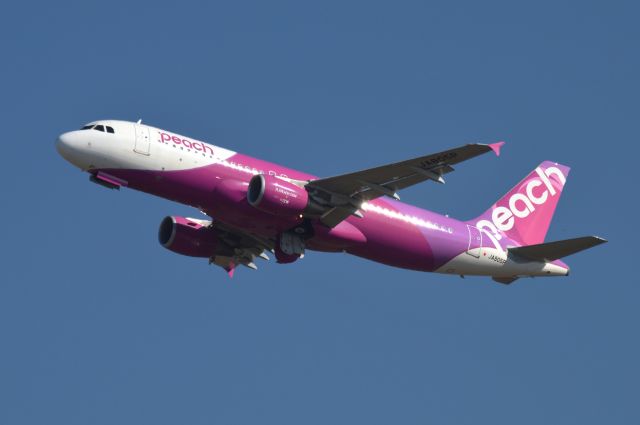 Airbus A320 (JA805P) - 2014-10-15