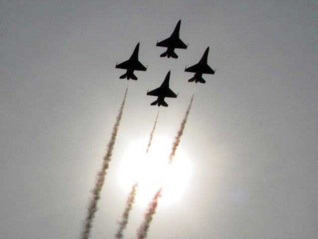 Lockheed F-16 Fighting Falcon (F16)
