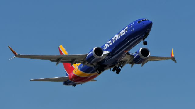 Boeing 737-800 (N8707P) - Gear coming up.