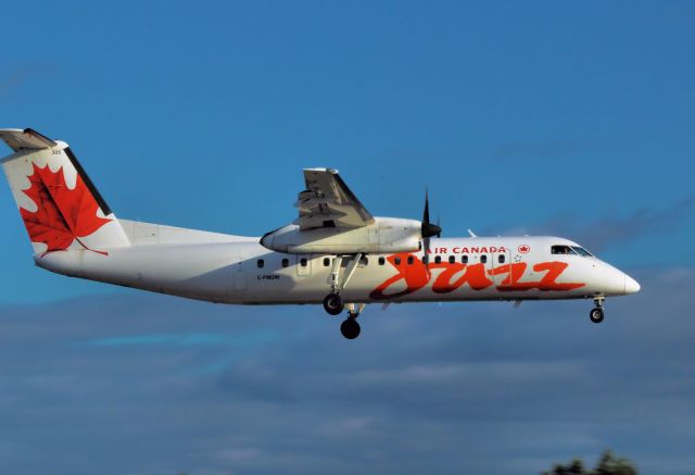 de Havilland Dash 8-100 (C-FMDW) - Arriving from Montreal.