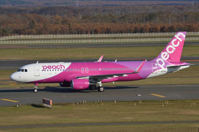 Airbus A320 (JA13VA) - 2019-10-28