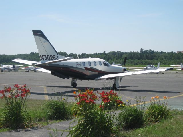 Socata TBM-850 (N302RJ) - The flowers are almost as pretty as the plane.