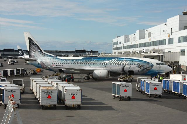 BOEING 737-400 (N792AS) - Salmon Thirty Salmon was just sitting there, waiting for me to take a picture.