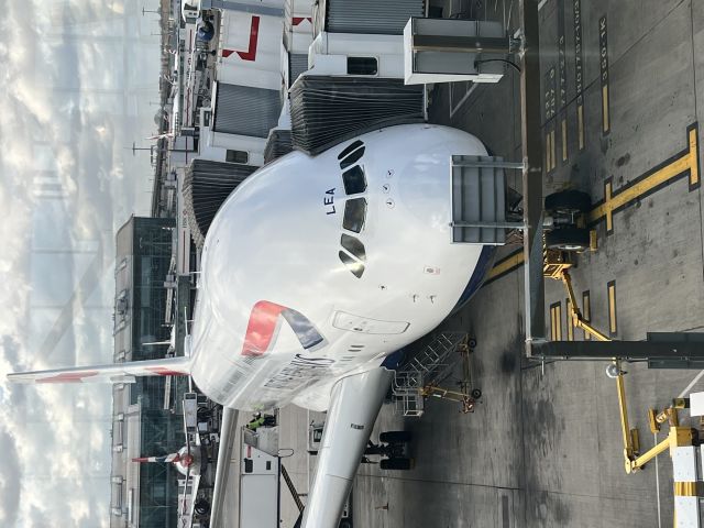 Airbus A380-800 — - Waiting for crew change and cleaning of air craft
