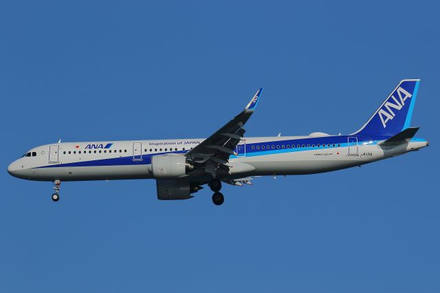 Airbus A321 (JA131A)