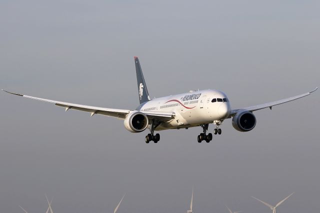 Boeing 787-9 Dreamliner (N446AM)