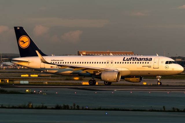 Airbus A320 (D-AIZW) - yellow evening sun