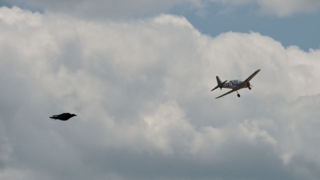 VULTEE Valiant (N69041) - Picture taken from a park near Flying Cloud Airport during Wings of The North Air Expo 7/24/2022