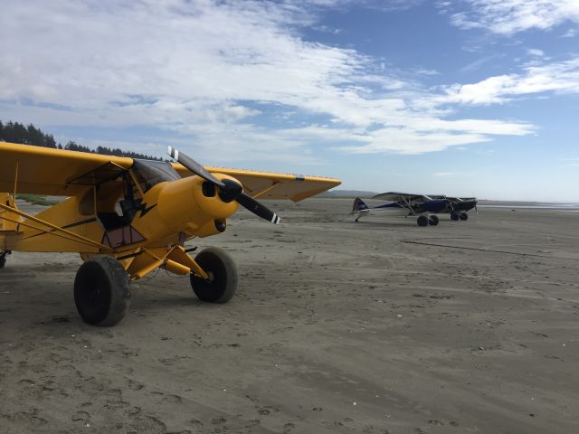 Piper L-21 Super Cub —