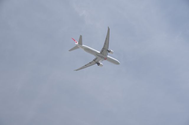 TC-XLA —