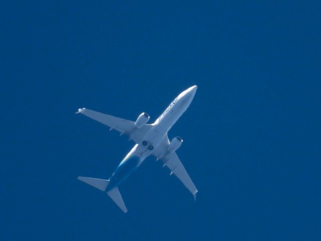 Boeing 737-800 (N568AS) - ASA122br /SEA-FLLbr /10/04/21
