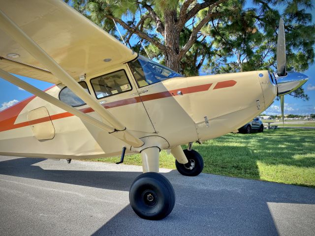 Piper 108 Voyager (N743C) - 1947 108-3 N743Cbr /8.5 Goodyear Tires