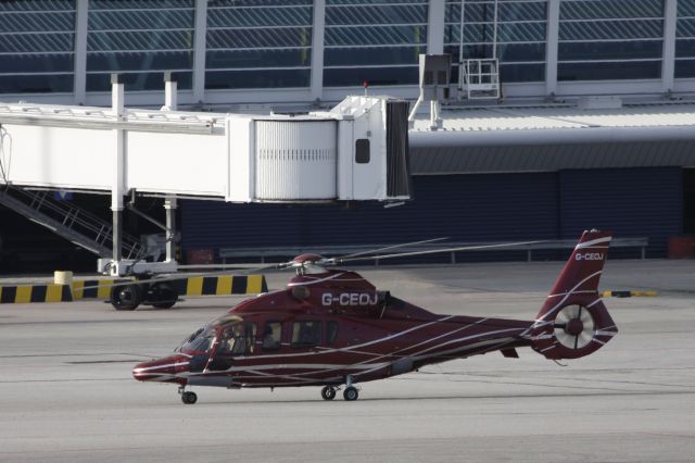 G-CEOJ —