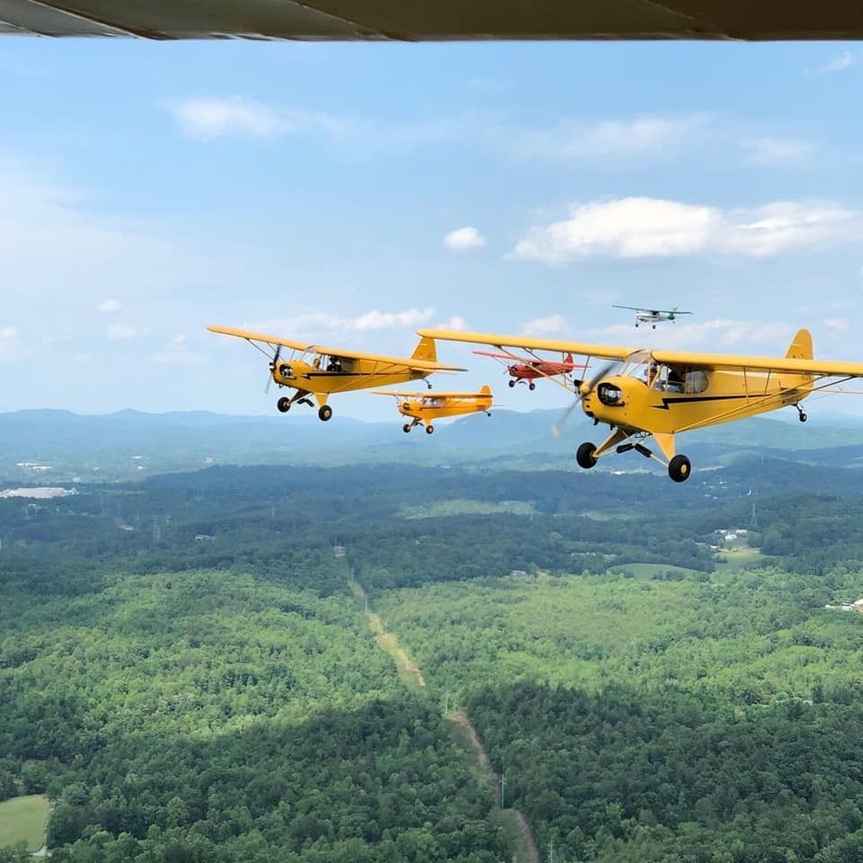 N38754 — - Cubs in western NC