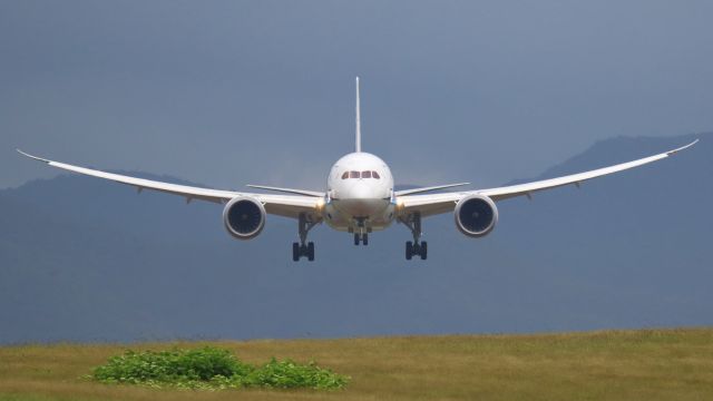 Boeing 787-8 (JA819A) - hakodate air port hokkaido japan