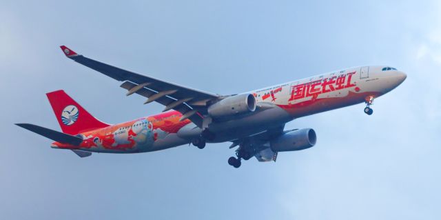 Airbus A330-300 (B-5960)