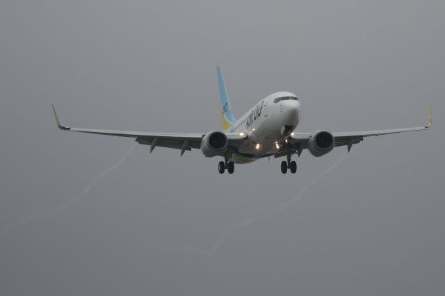 Boeing 737-700 (JA14AN) - 29 August 2016:HND-HKD.