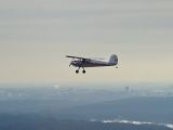 N2339N thumbnail