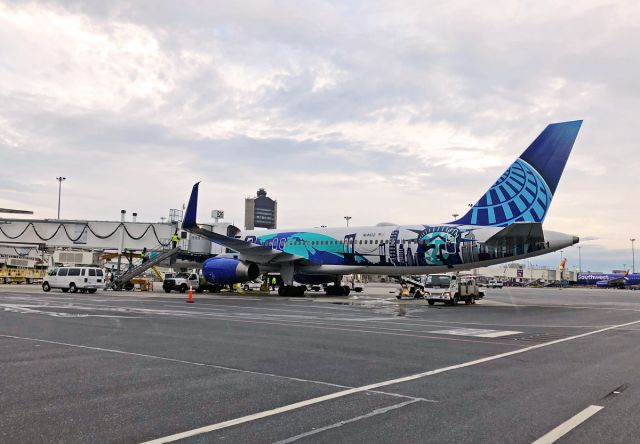 Boeing 757-200 (N14102) - New York/New Jersey Her Art Special Livery 10/02/19