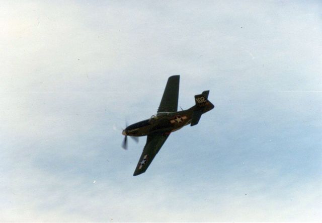 North American P-51 Mustang (N351DM) - Daydreamer/sizzlin Liz 